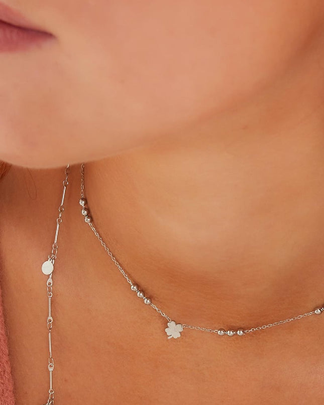 Roestvrij stalen ketting Zilver Stainless Steel