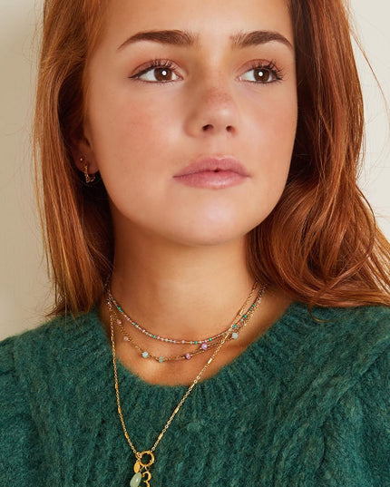 Roestvrij stalen ketting Zilver Stainless Steel