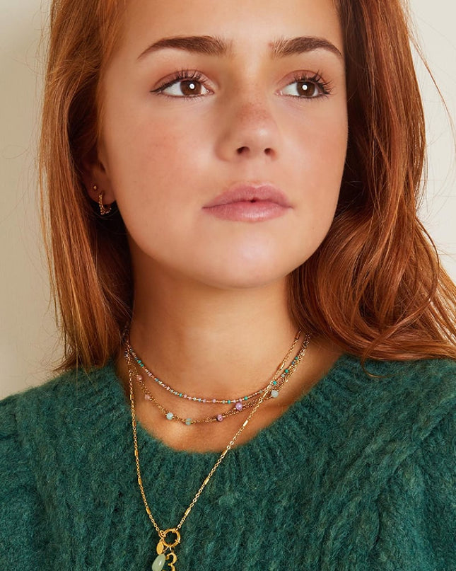 Roestvrij stalen ketting Zilver Stainless Steel