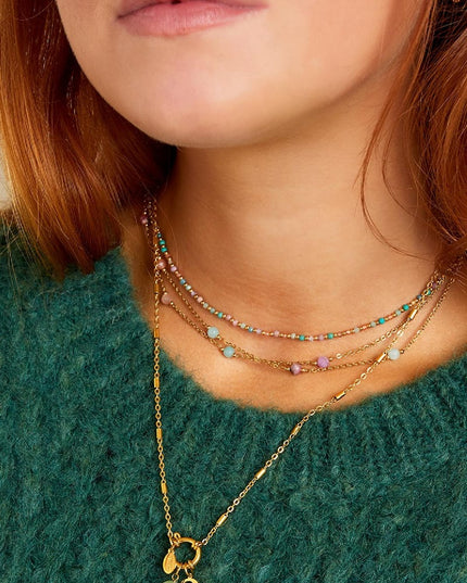 Roestvrij stalen ketting Zilver Stainless Steel