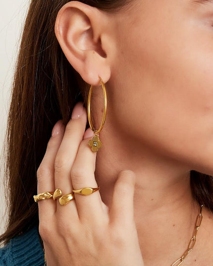 Roestvrij stalen zegelring Goud kleur Stainless Steel 15