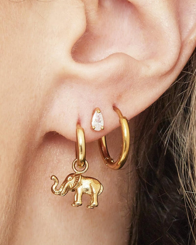 Oorbellen Little Hoops 1,6cm Goud kleur Stainless Steel