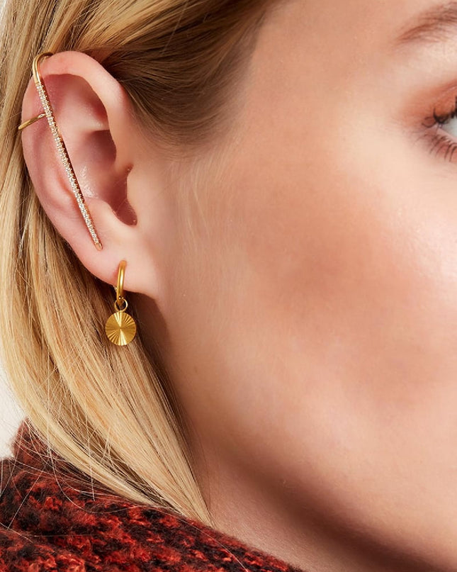 RVS oorbellen cirkel Zilver Stainless Steel