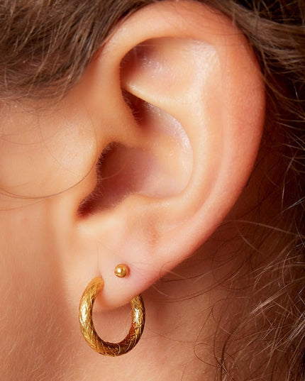 Oorringen van roestvrij staal Goud kleur Stainless Steel