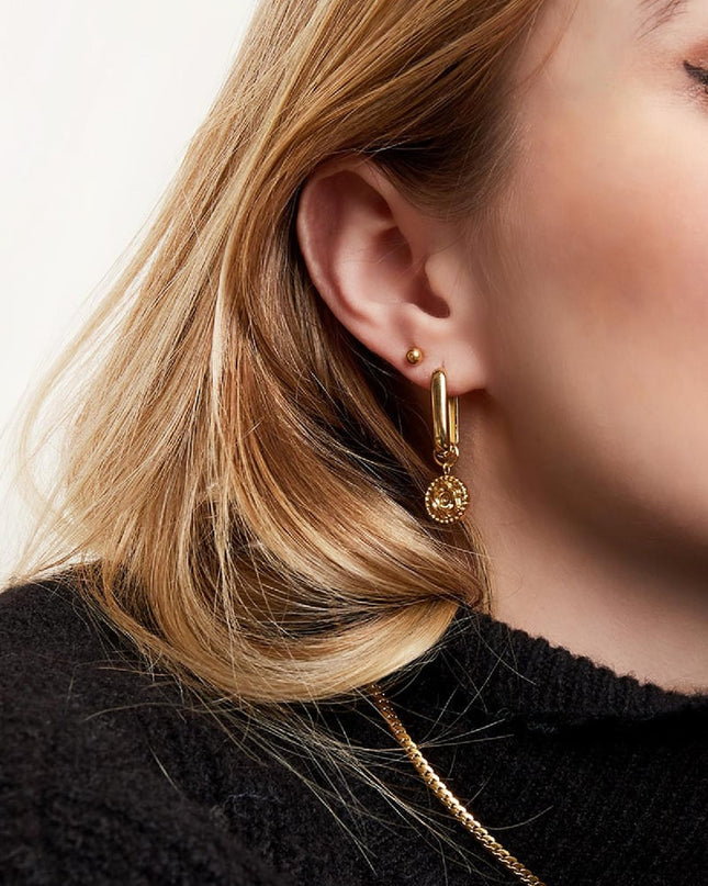 Oorbellen roos Goud kleur Stainless Steel