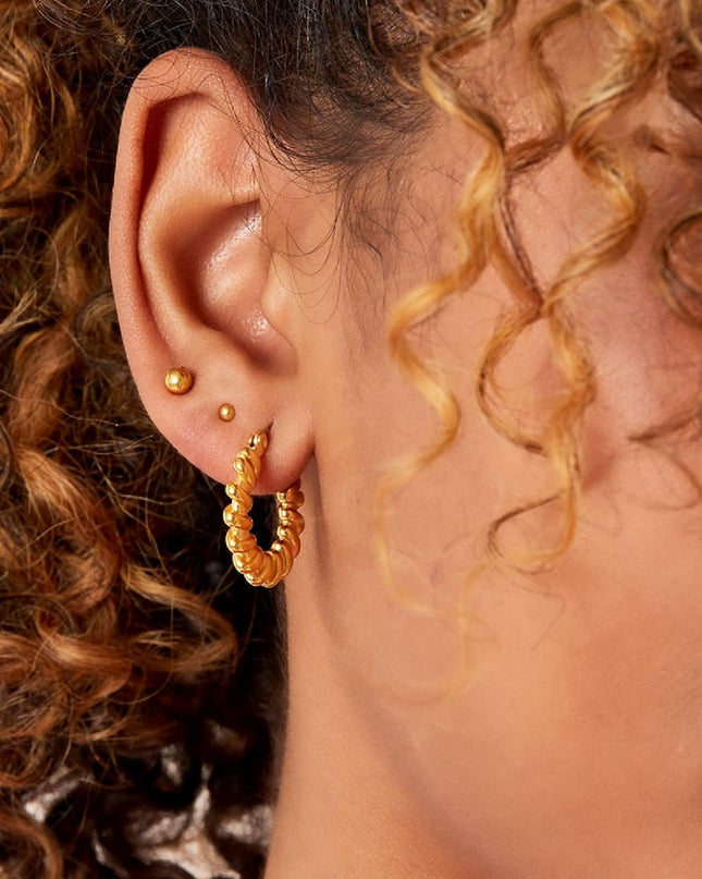 Roestvrij stalen oorbellen Zilver Stainless Steel