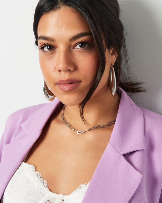 oorbellen stainless steel chique groot 