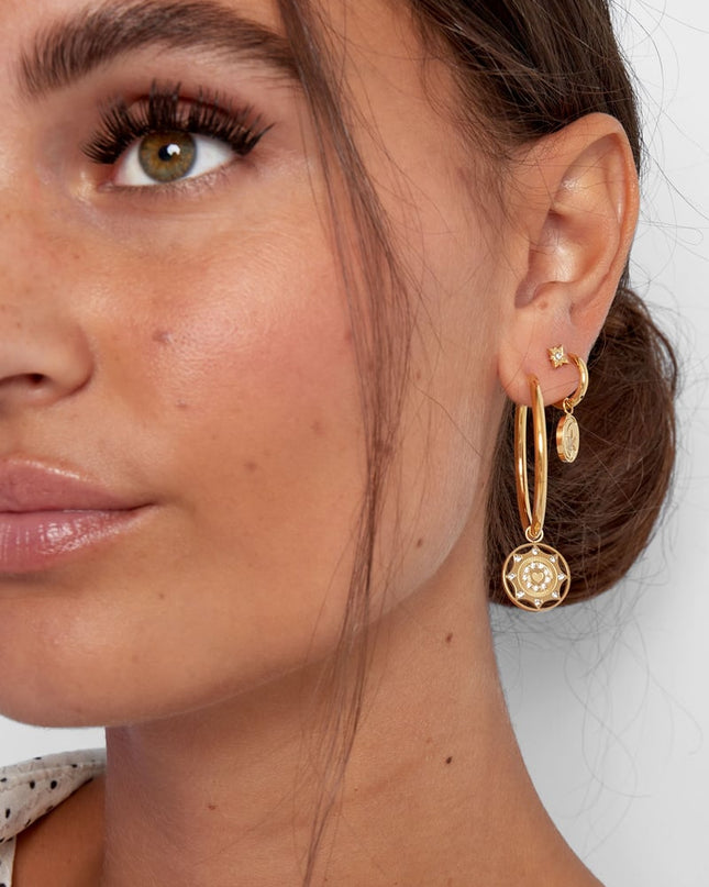 oorbellen zirkonen coin