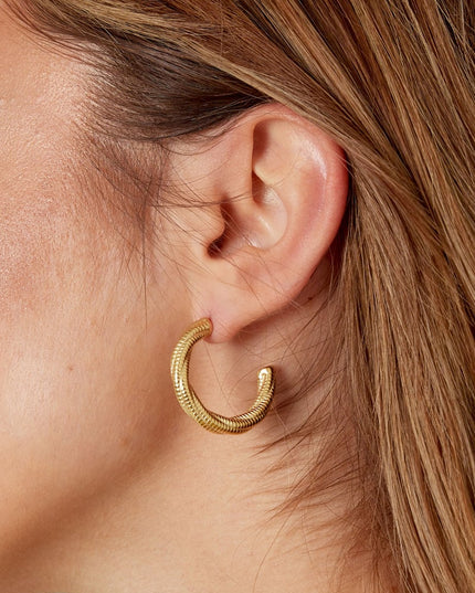 oorbellen gedraaid relief klein