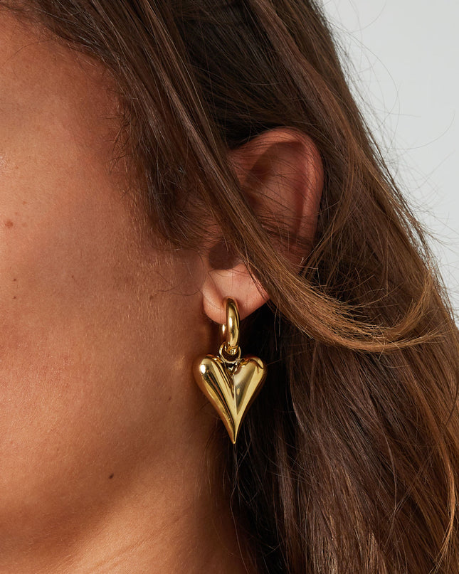 oorbellen met harthangers groot