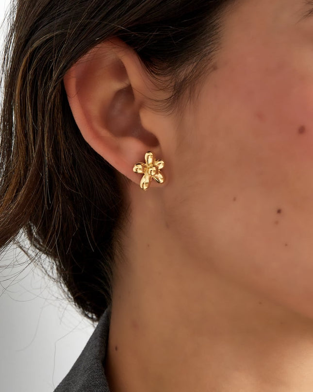 cute daisy flower oorbellen