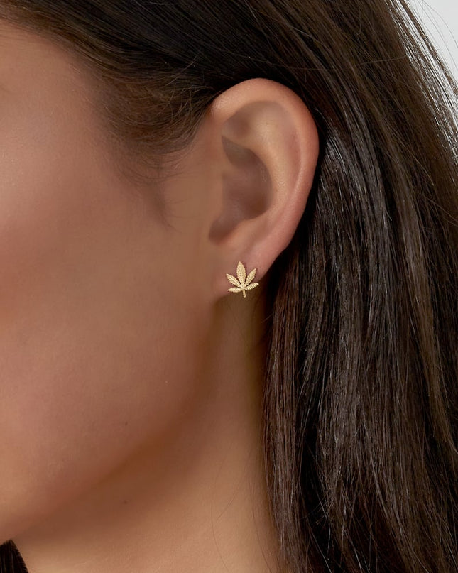 canna bliss studs