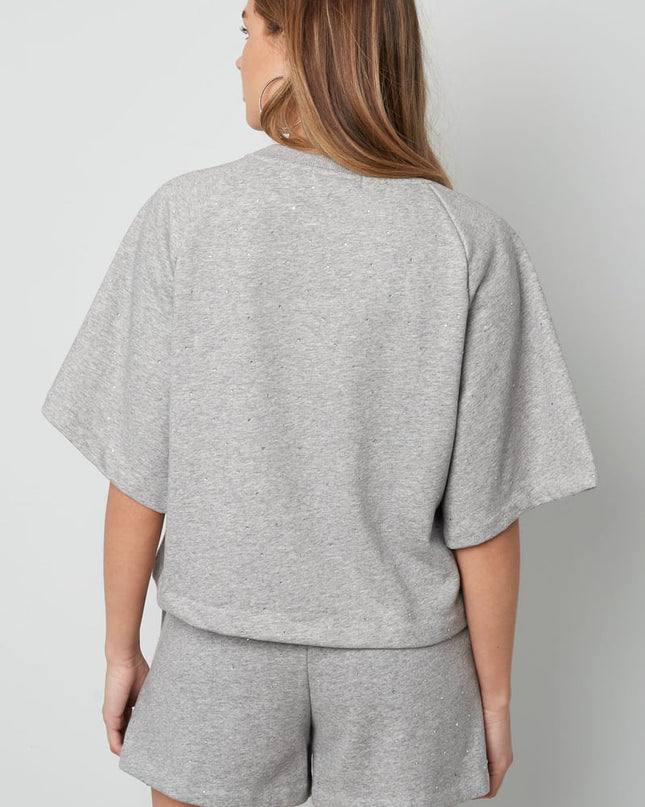 Top glitters in the sky - Gray