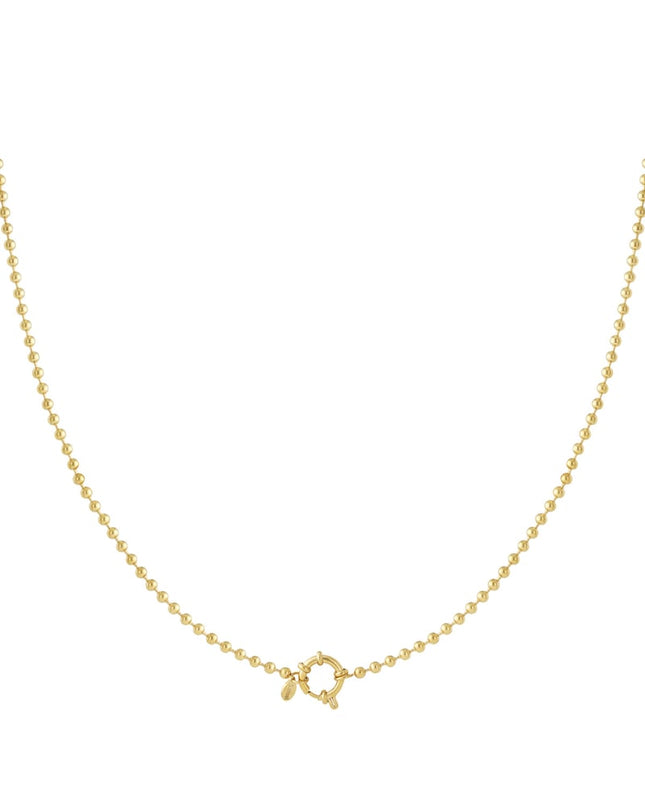 Roestvrijstalen kettingen Geometrisch Casual Dagelijks Eenvoudig Serie Dames sieraden