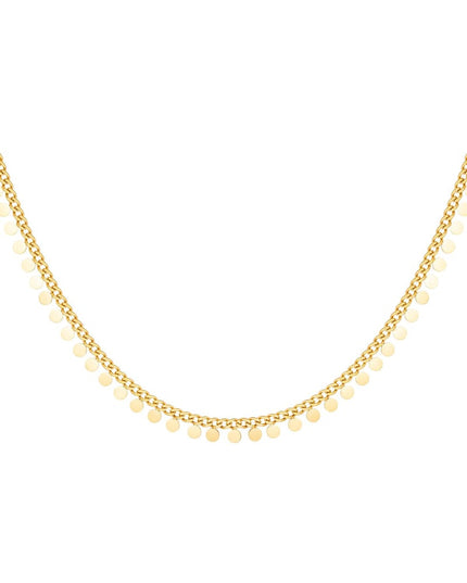 Roestvrijstalen ketting cirkels Goud kleur Stainless Steel