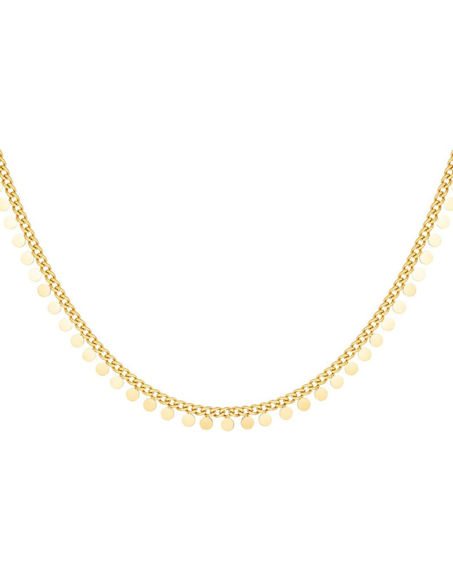 Roestvrijstalen ketting cirkels Goud kleur Stainless Steel