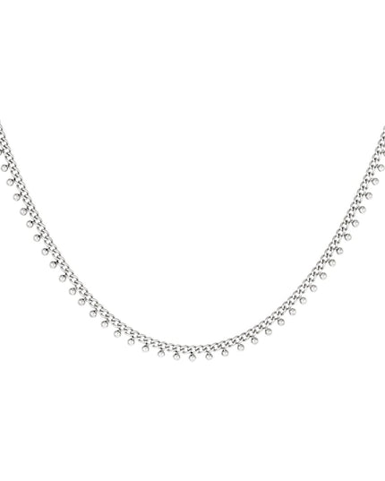 Roestvrijstalen ketting stippen Zilver Stainless Steel