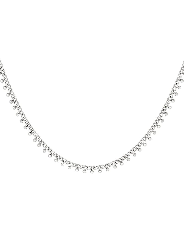 Roestvrijstalen ketting stippen Zilver Stainless Steel