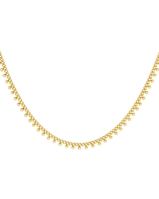 Roestvrijstalen ketting stippen Zilver Stainless Steel