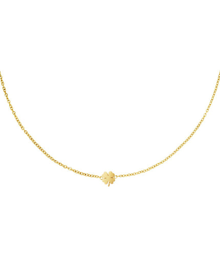 RVS ketting klavertje Goud kleur Stainless Steel