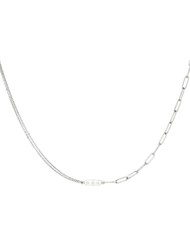 Roestvrijstalen ketting met dubbele ketting en bedel Goud kleur Stainless Steel