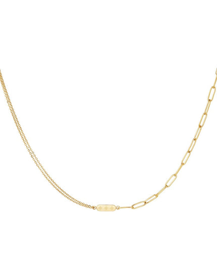 Roestvrijstalen ketting met dubbele ketting en bedel Goud kleur Stainless Steel