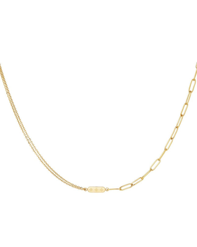 Roestvrijstalen ketting met dubbele ketting en bedel Goud kleur Stainless Steel