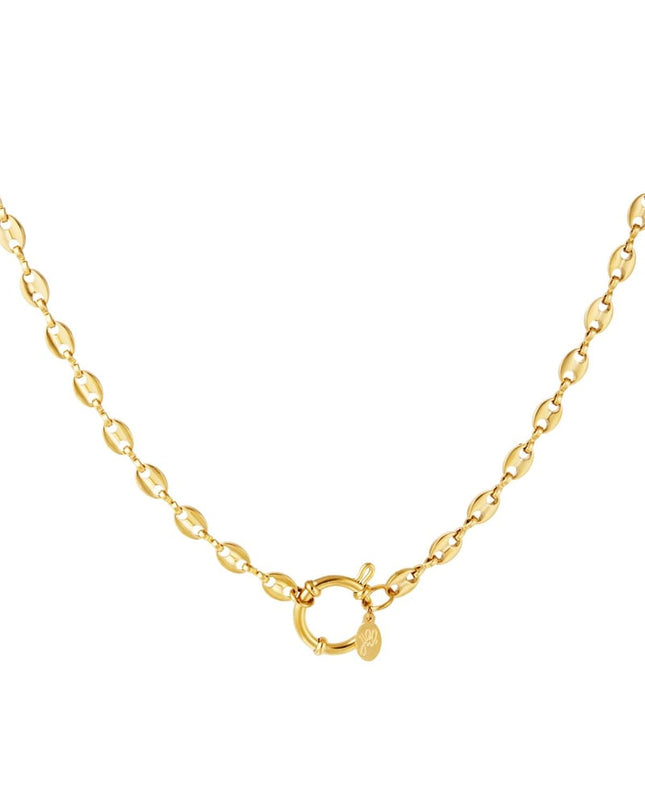 RVS schakelketting Goud kleur Stainless Steel