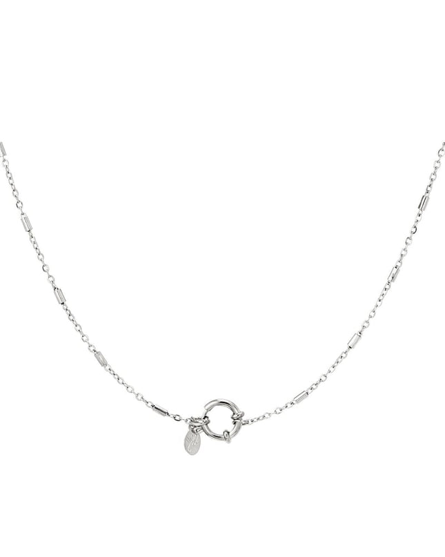 Roestvrij stalen ketting Zilver Stainless Steel