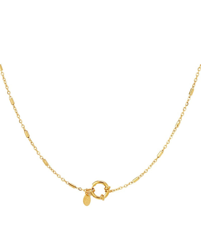 Roestvrij stalen ketting Zilver Stainless Steel