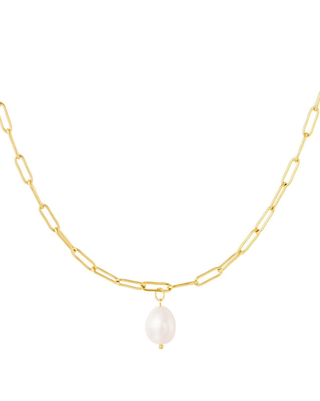 Dikke ketting met parel Goud kleur Stainless Steel