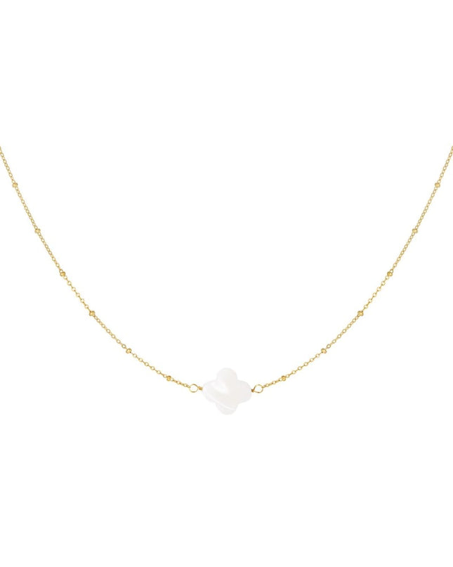 Ketting zeeschelp klaver Goud kleur Stainless Steel