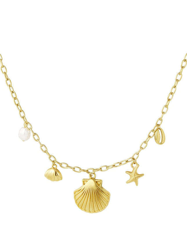 bedelketting zeeschelpen