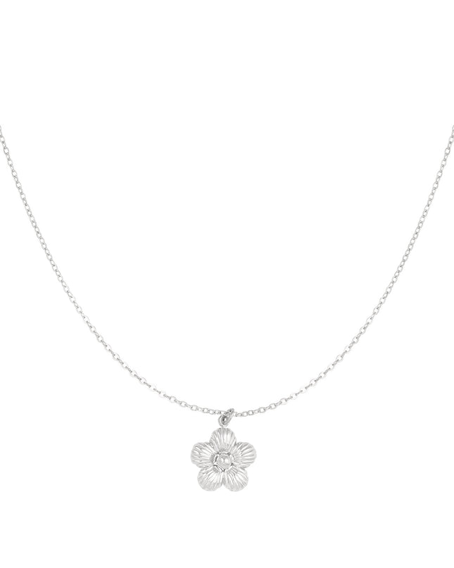 daisy ketting