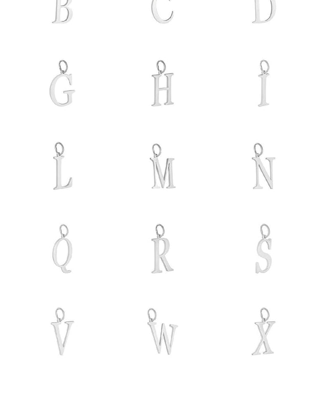 Charm A Zilver Stainless Steel