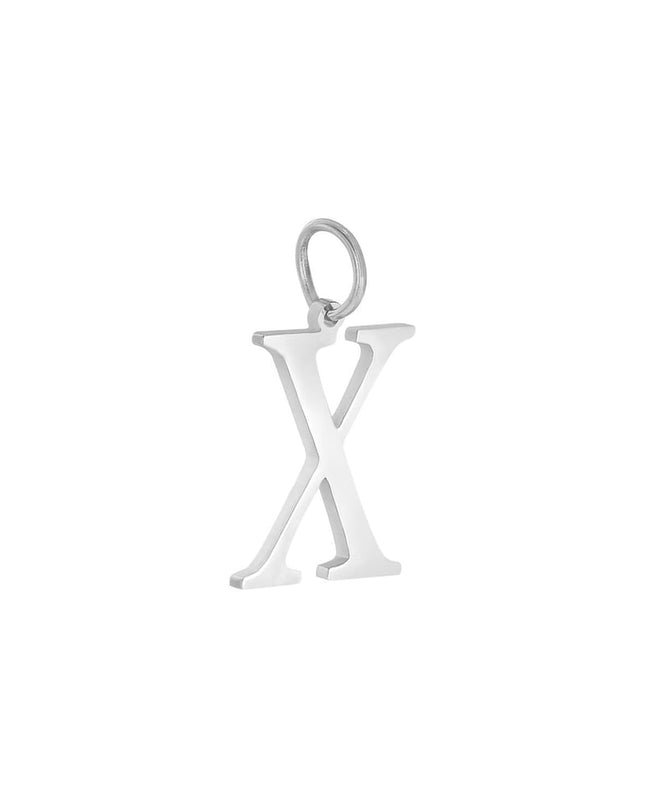 Charm A Zilver Stainless Steel
