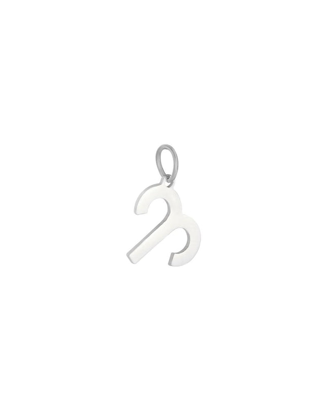 Charm Zodiac Taurus Zilver Stainless Steel