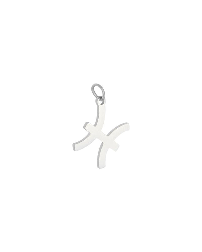 Charm Zodiac Taurus Zilver Stainless Steel