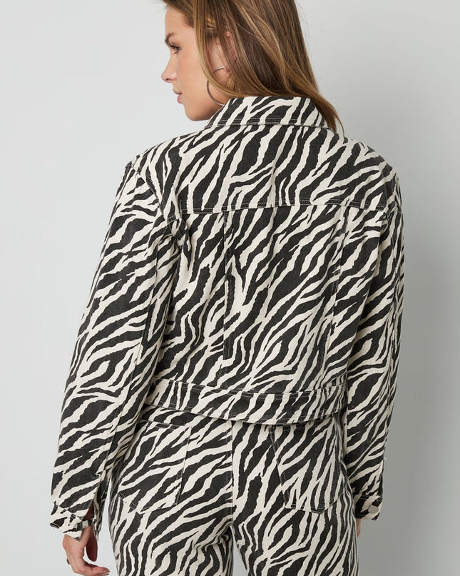 The Zebra Jacket