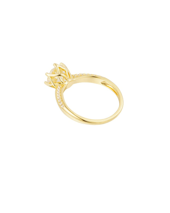 Ring steen met steentjes - Goud kleur - 16