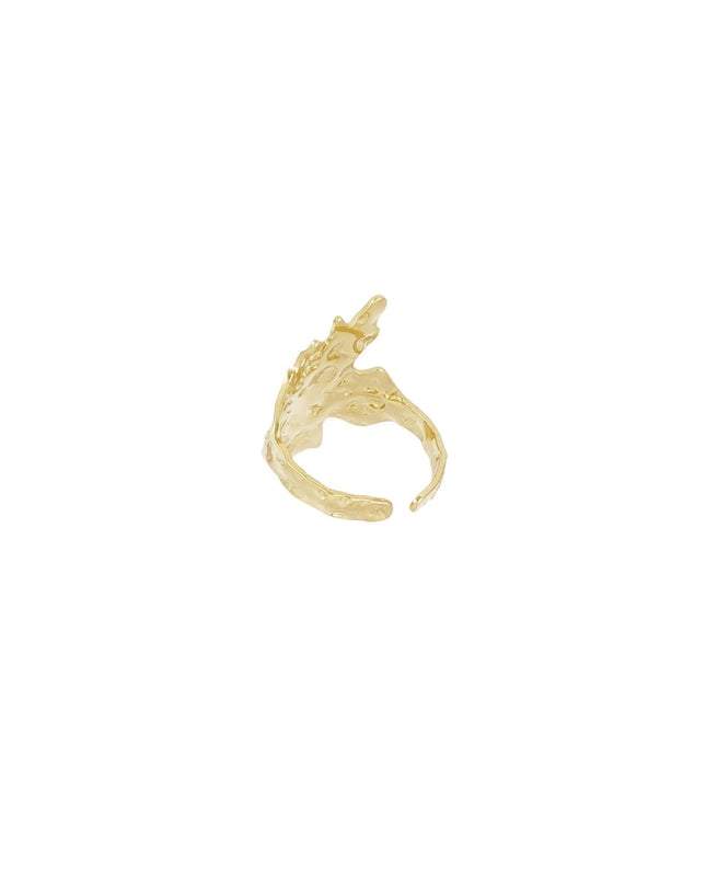 abstract textuur ring