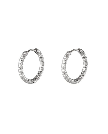 Oorringen van roestvrij staal Zilver Stainless Steel