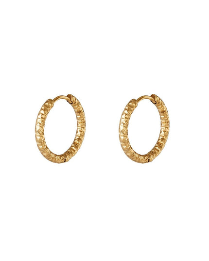 Oorringen van roestvrij staal Zilver Stainless Steel