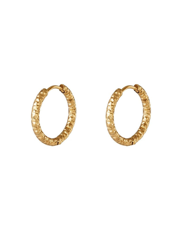 Oorringen van roestvrij staal Zilver Stainless Steel