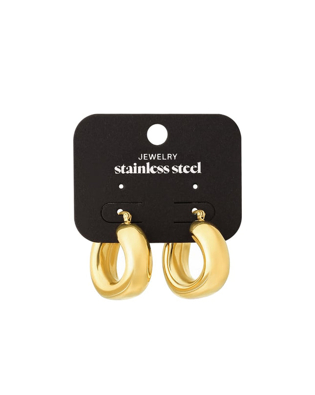 Stoere oorringen Goud kleur Stainless Steel
