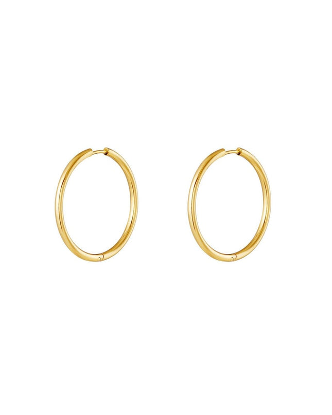 RVS oorbellen hoops klein Goud kleur Stainless Steel