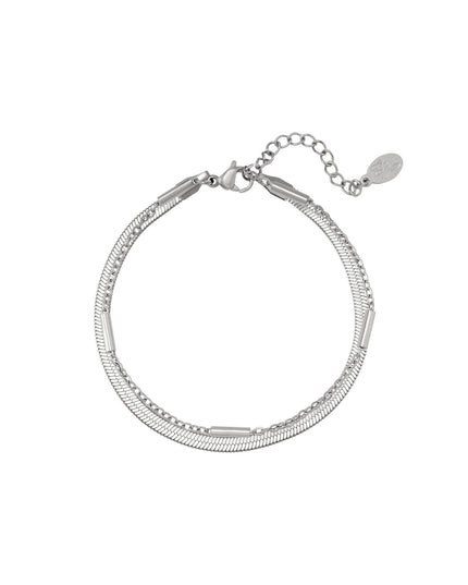Roestvrij stalen armband dubbel geketend Zilver Stainless Steel
