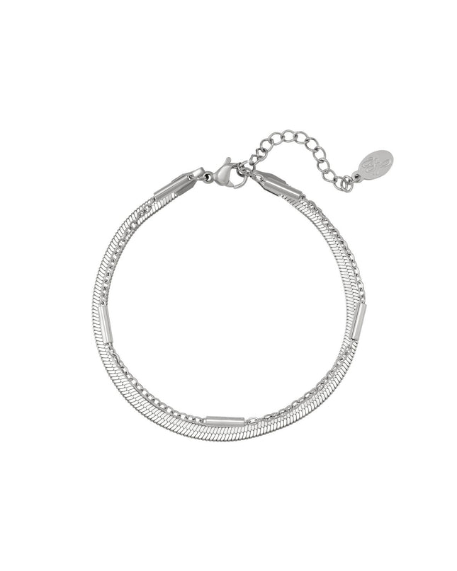 Roestvrij stalen armband dubbel geketend Zilver Stainless Steel