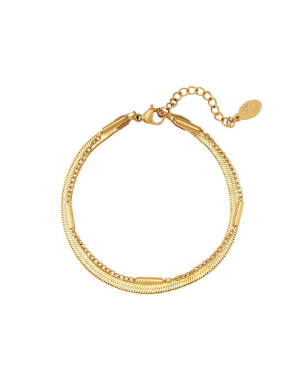 Roestvrij stalen armband dubbel geketend Zilver Stainless Steel