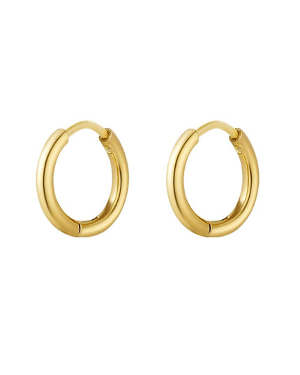 Creolen simpel XS Zilver Stainless Steel